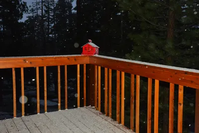 DSC_6646 (Large).JPG